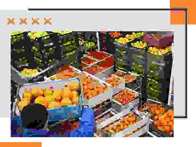 Перевозка скоропортящихся продуктов в Химках